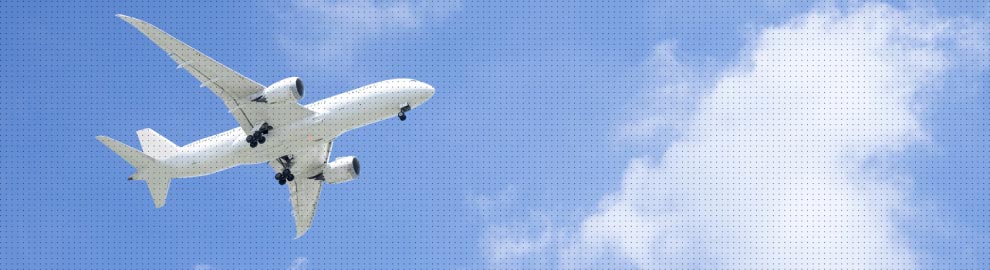Nos services : Transport aérien